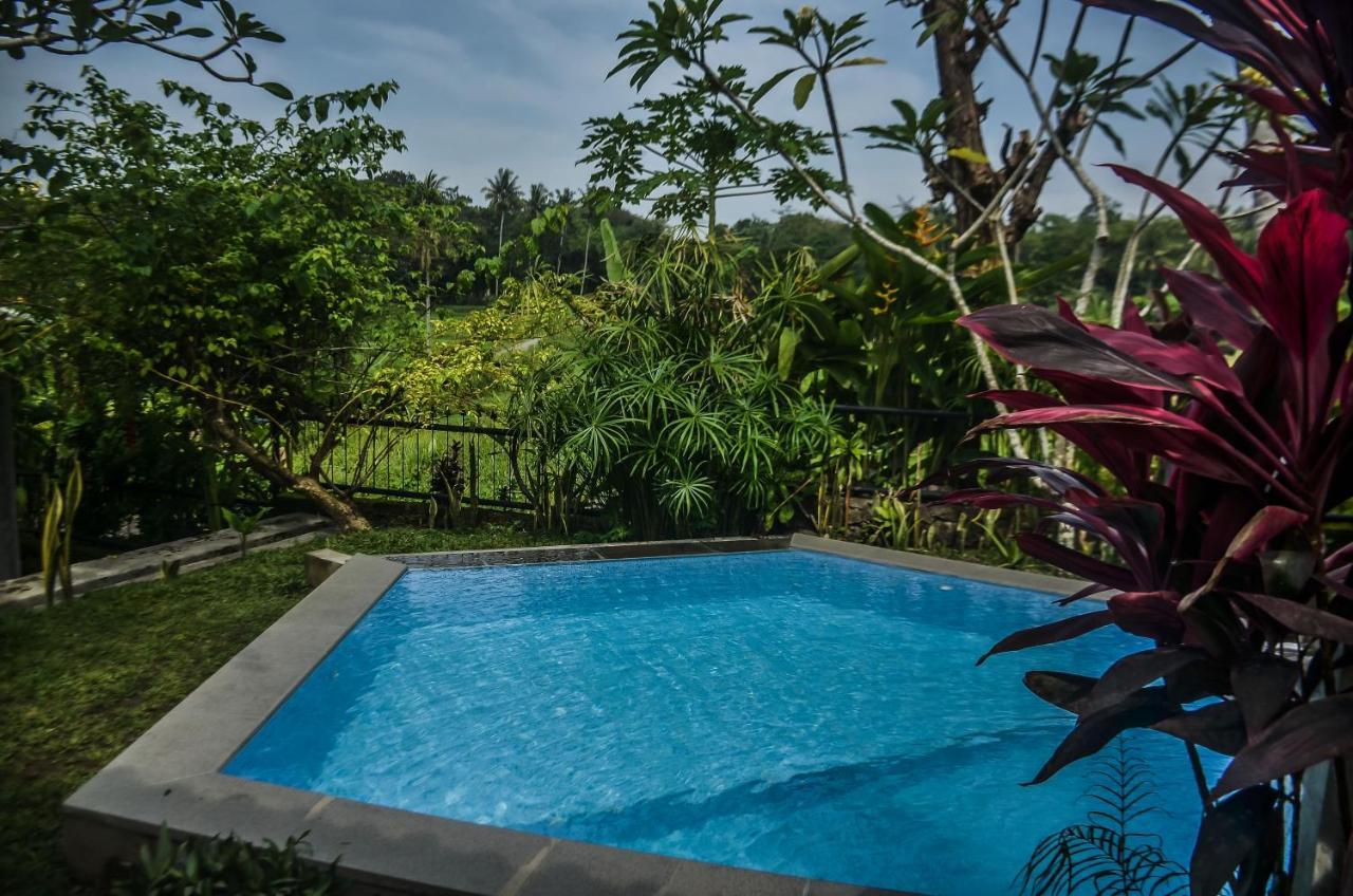 Villa Nextdoor Nature Yogyakarta Bantul Zewnętrze zdjęcie