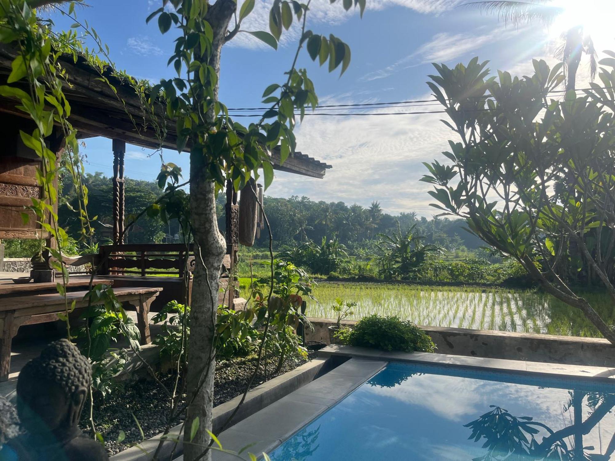 Villa Nextdoor Nature Yogyakarta Bantul Zewnętrze zdjęcie