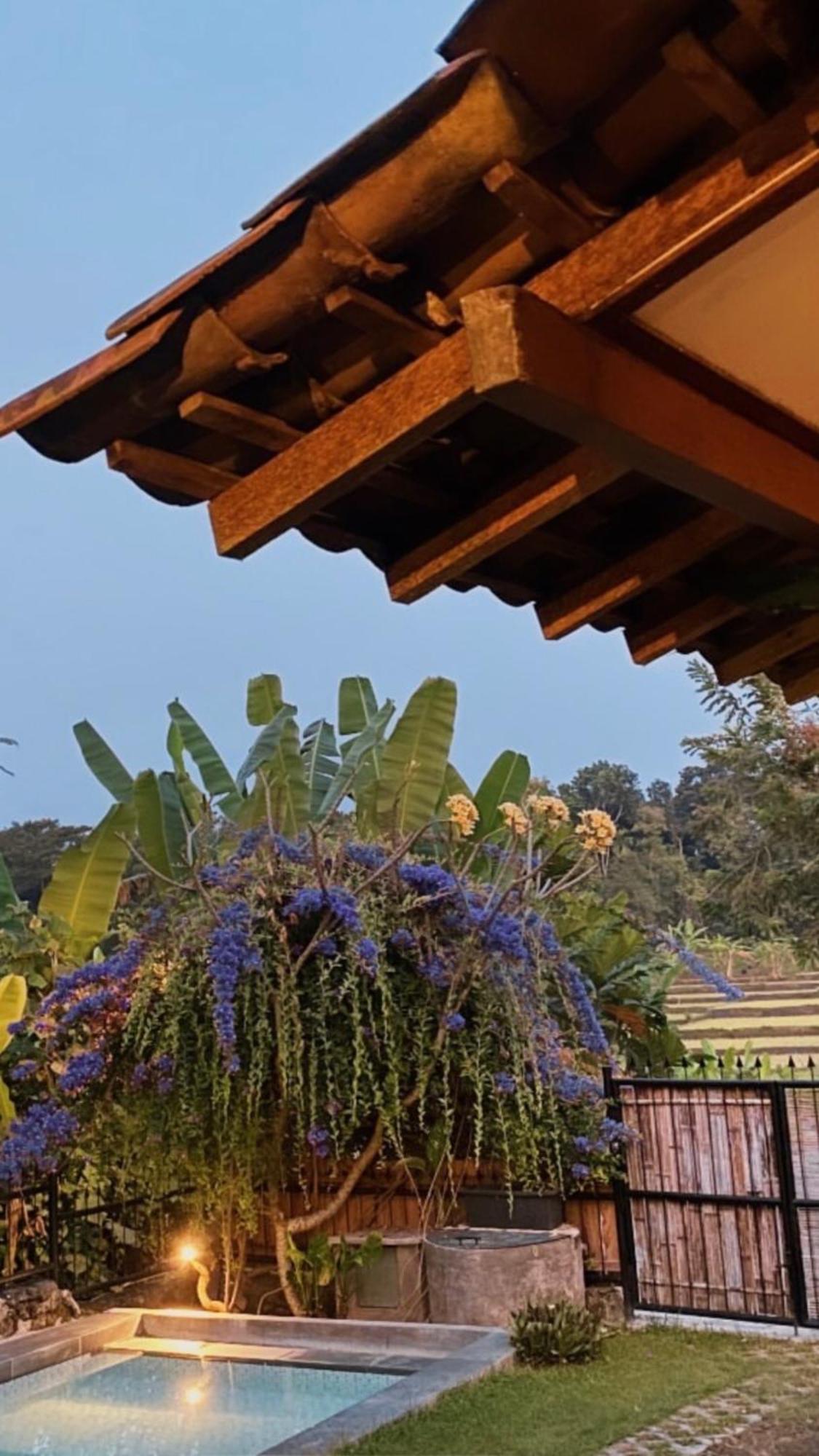 Villa Nextdoor Nature Yogyakarta Bantul Zewnętrze zdjęcie