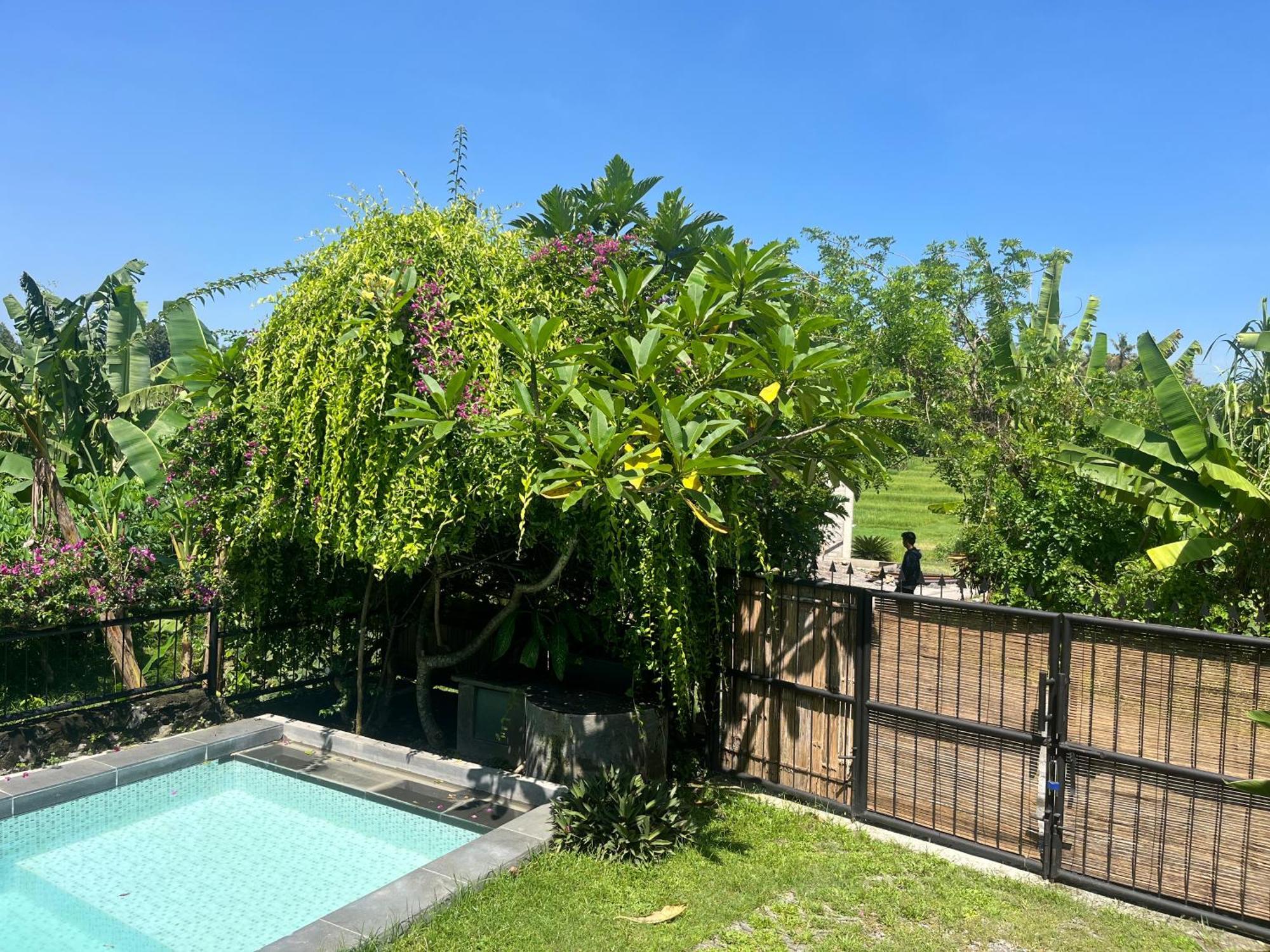 Villa Nextdoor Nature Yogyakarta Bantul Zewnętrze zdjęcie
